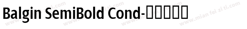 Balgin SemiBold Cond字体转换